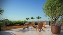 Lounge Rooftop