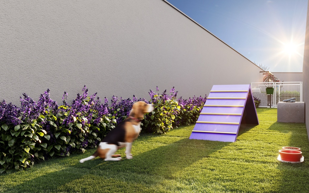 Pet Place