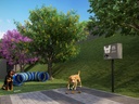 Pet Place